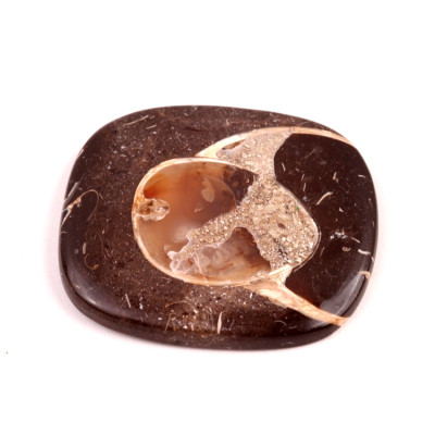 Kabošon Colus Fossil č.5706 (48x44x6mm)