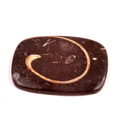 Kabošon Colus Fossil č.5707 (51x38x6mm)