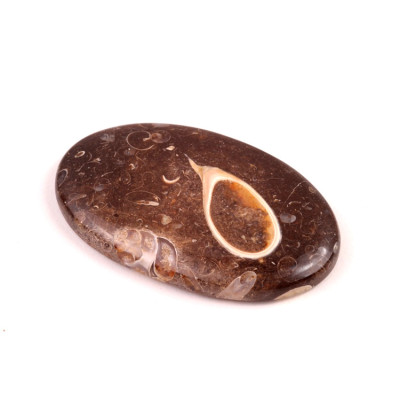 Kabošon Colus Fossil č.5708 (49x30x6mm)