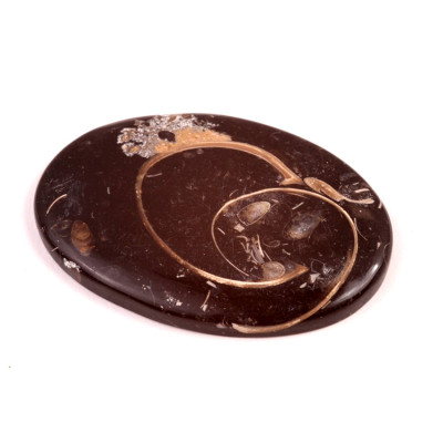 Kabošon Colus Fossil č.5709 (54x38x6mm)