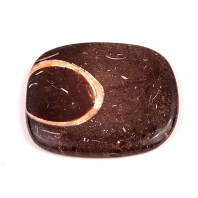 Kabošon Colus Fossil č.5711 (51x46x6mm)
