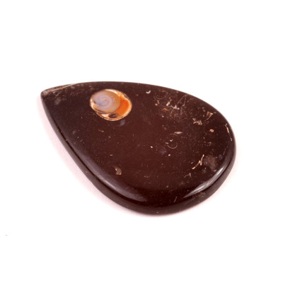 Kabošon Colus Fossil č.5712 (50x35x6mm)