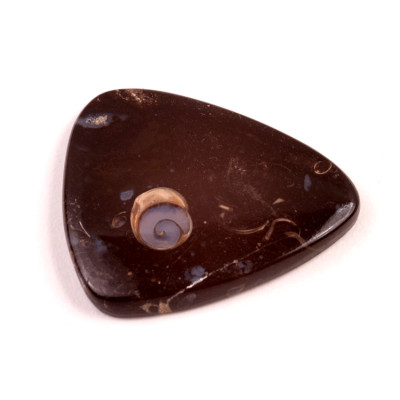 Kabošon Colus Fossil č.5718 (41x34x5mm)