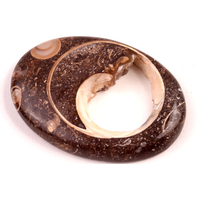 Kabošon Colus Fossil č.5722 (49x36x8mm)