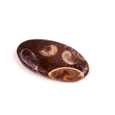 Kabošon Colus Fossil č.5723 (36x19x5mm)