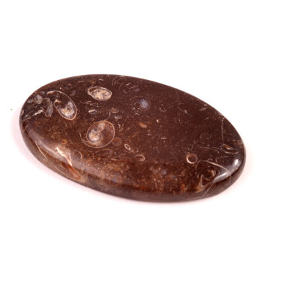 Kabošon Colus Fossil č.5725 (50x29x6mm)