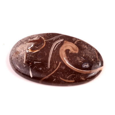 Kabošon Colus Fossil č.5726 (50x31x7mm)