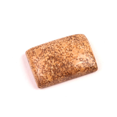 Kabošon Picture Jasper č.2331 (29x20x8mm)