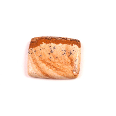 Kabošon Picture Jasper č.2334 (24x21x5mm)
