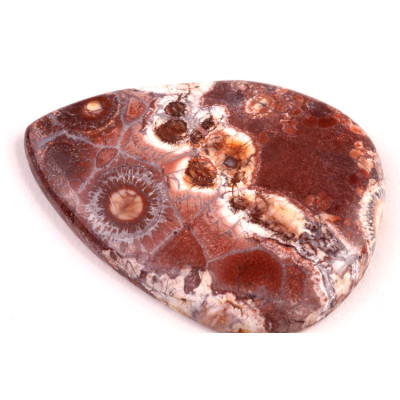 Kabošon Birds Eye Jasper č.2147 (46x34x6mm)