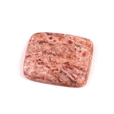 Kabošon Birds Eye Jasper č.2154 (32x27x6mm)