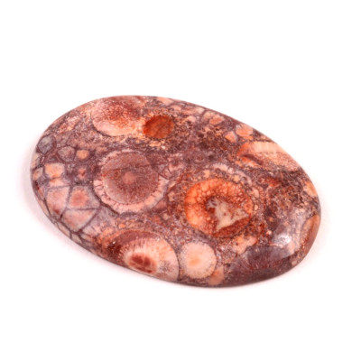 Kabošon Birds Eye Jasper č.2162 (45x30x6mm)