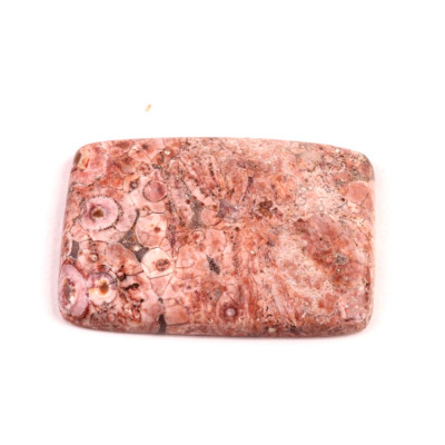 Kabošon Birds Eye Jasper č.2166 (39x27x5mm)