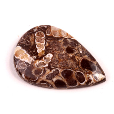 Kabošon Turritella Achát č.6065 (39x27x6mm)