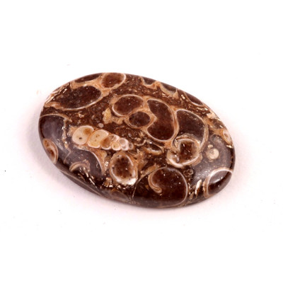 Kabošon Turritella Achát č.6068 (33x22x6mm)