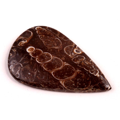 Kabošon Turritella Achát č.6073 (42x26x5mm)