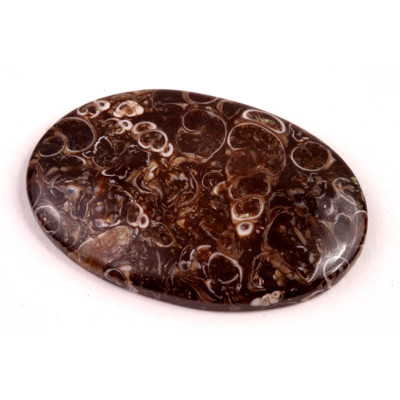 Kabošon Turritella Achát č.6077 (40x26x5mm)