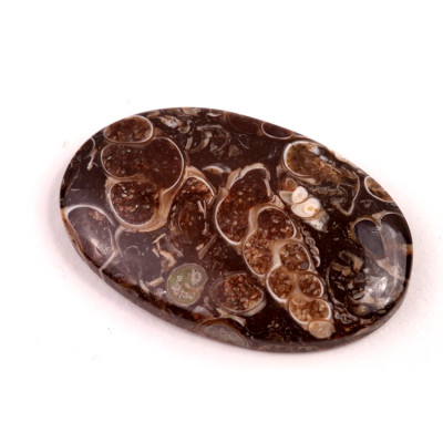 Kabošon Turritella Achát č.6081 (38x24x6mm)