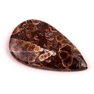 Kabošon Turritella Achát č.6084 (41x24x5mm)