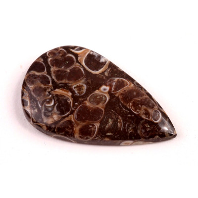 Kabošon Turritella Achát č.6086 (38x23x5mm)