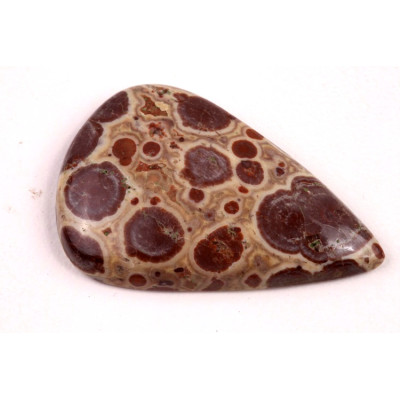 Kabošon Asteroid Jaspis č.6255 (38x25x6mm)