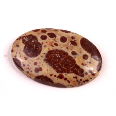 Kabošon Asteroid Jaspis č.6256 (35x23x6mm)