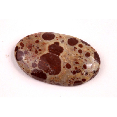 Kabošon Asteroid Jaspis č.6257 (34x21x6mm)