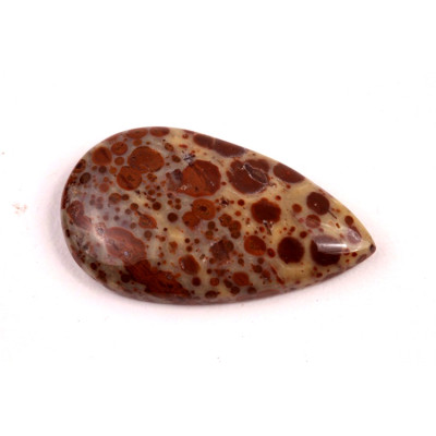 Kabošon Asteroid Jaspis č.6258 (33x19x6mm)