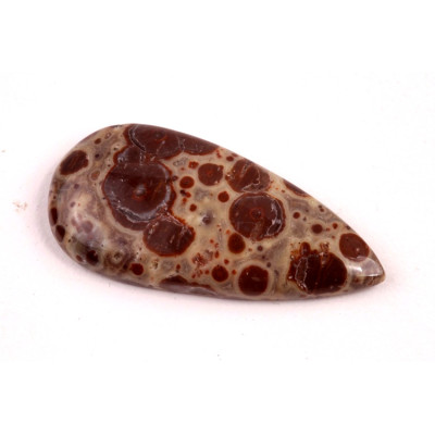 Kabošon Asteroid Jaspis č.6262 (36x18x5mm)