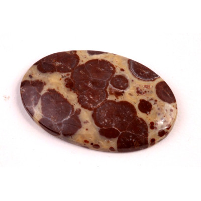 Kabošon Asteroid Jaspis č.6265 (36x23x5mm)