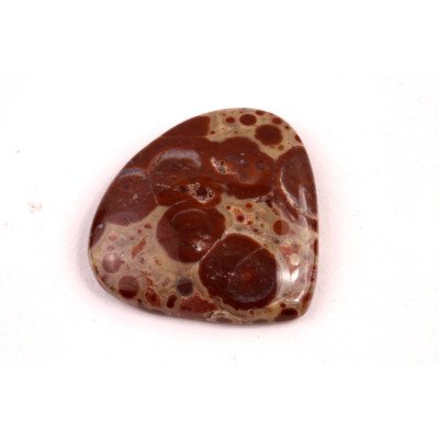 Kabošon Asteroid Jaspis č.6274 (25x26x5mm)