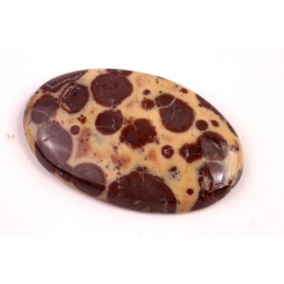 Kabošon Asteroid Jaspis č.6275 (36x23x5mm)