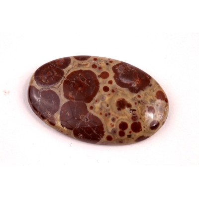 Kabošon Asteroid Jaspis č.6277 (32x21x5mm)