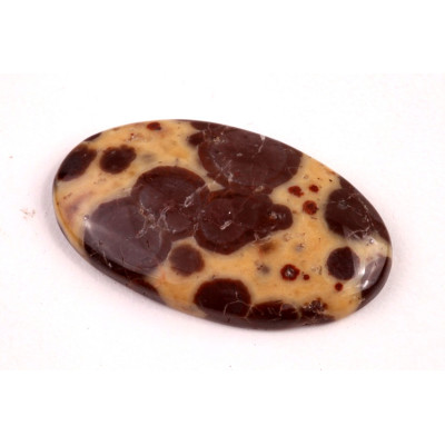 Kabošon Asteroid Jaspis č.6278 (35x20x5mm)