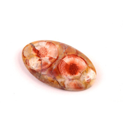 Kabošon Birds Eye Jaspis č.6302 (36x22x6mm)