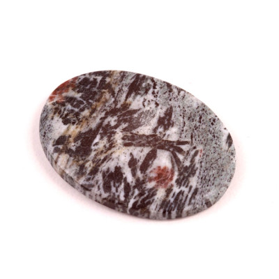 Kabošon Hornblende č.6365 (41x30x5mm)