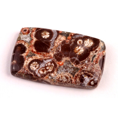 Kabošon Mushroom Green Jade č.6399 (35x21x6mm)