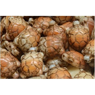 Korálky želva č.5810 (19x14mm)