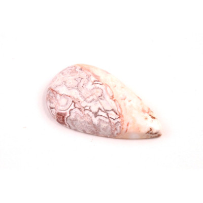 Kabošon Rosetta Jaspis č.6852 (32x19x6mm)