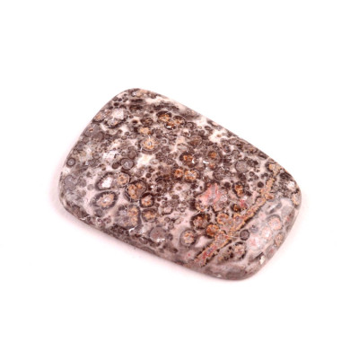 Kabošon Jaspis Leopard Skin č.6930 (34x23x5mm)