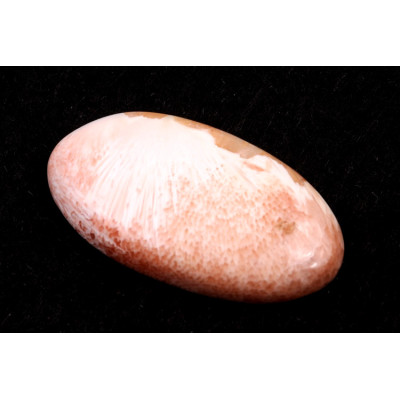 Kabošon Scolecite č.6963 (41x22x7mm)