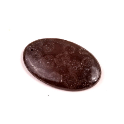 Vrtaný kabošon Black Fossil č.V138 (35x23x5mm)