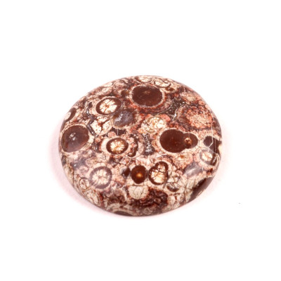 Kabošon Orbicular Jasper č.7335 (31x7mm)