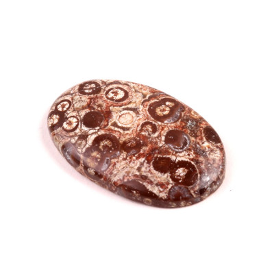 Kabošon Orbicular Jasper č.7337 (37x24x6mm)