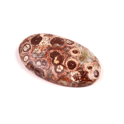 Kabošon Orbicular Jasper č.7343 (38x22x7mm)