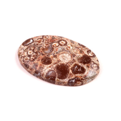 Kabošon Orbicular Jasper č.7347 (37x23x5mm)