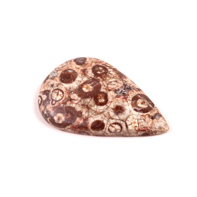 Kabošon Orbicular Jasper č.7353 (37x24x5mm)