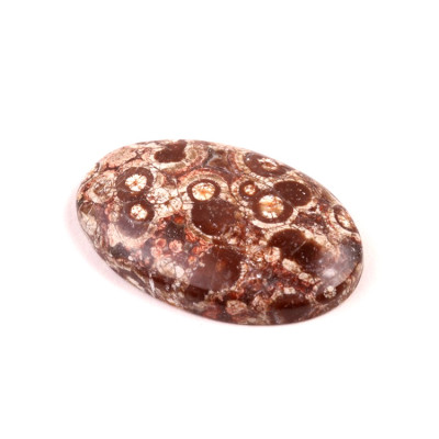 Kabošon Orbicular Jasper č.7355 (36x23x6mm)