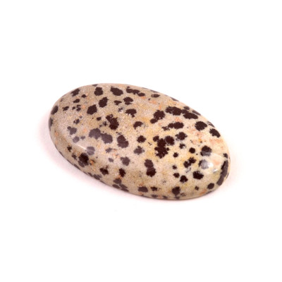 Kabošon Dalmatin Jaspis č.7429 (36x21x8mm)