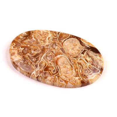 Kabošon Peanut Fossil č.2508 (42x25x6mm)